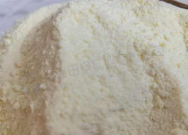 駝奶凍干，食品凍干機應(yīng)用于奶粉真空冷凍干燥試驗