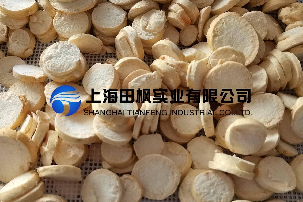 人參凍干：中藥材凍干機(jī)，人參真空冷凍干燥技術(shù)